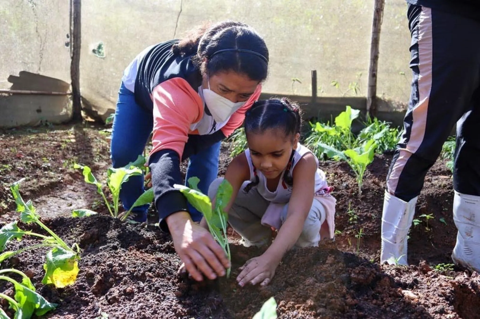 Durante as atividades, tambÃ©m serÃ£o realizadas plantaÃ§Ãµes de horta na prÃ³pria instituiÃ§Ã£o, com o auxÃ­lio dos estudantes e da comunidade