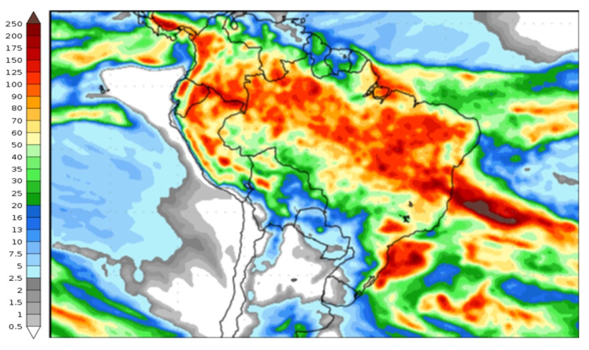Figura 2: Previsão de chuva para 2ª semana (09 e 17/04/2024). Fonte: NCEP/NOAA.
