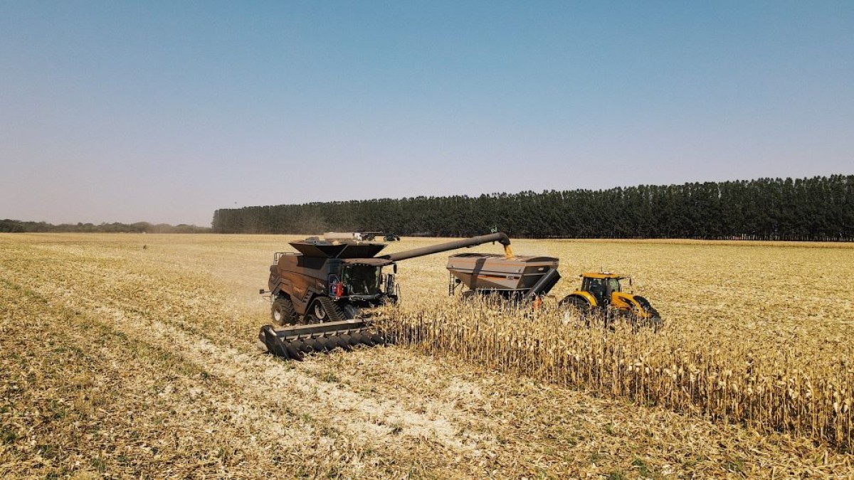 Paraná: colheitas de soja e milho se encaminham para o final